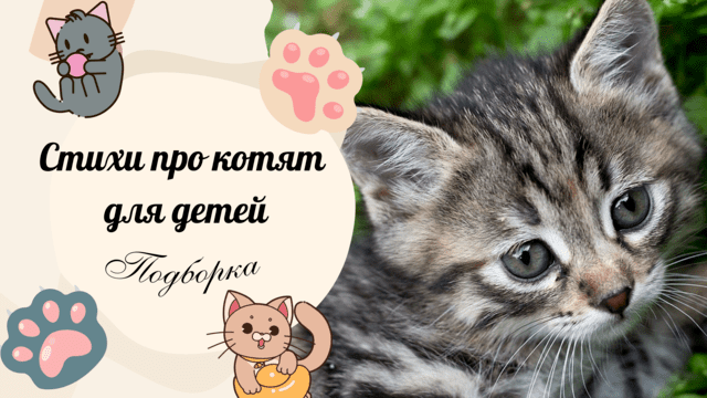 Стихи про котят для детей